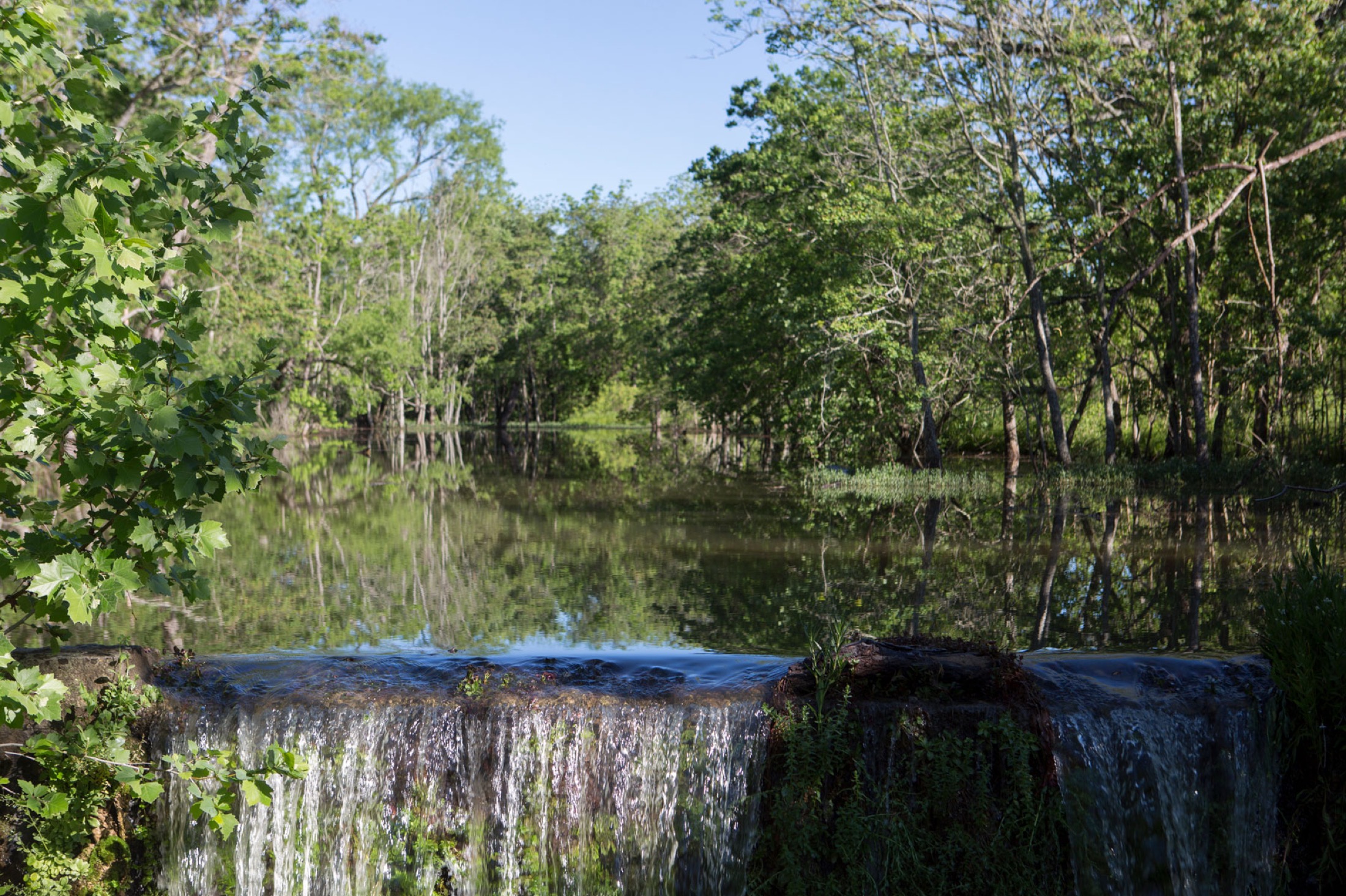 Water feature among trees in Parten Ranch